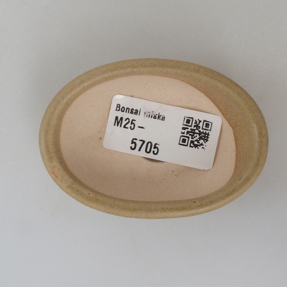 Mini bonsai tál 7 x 5 x 2 cm, barna
