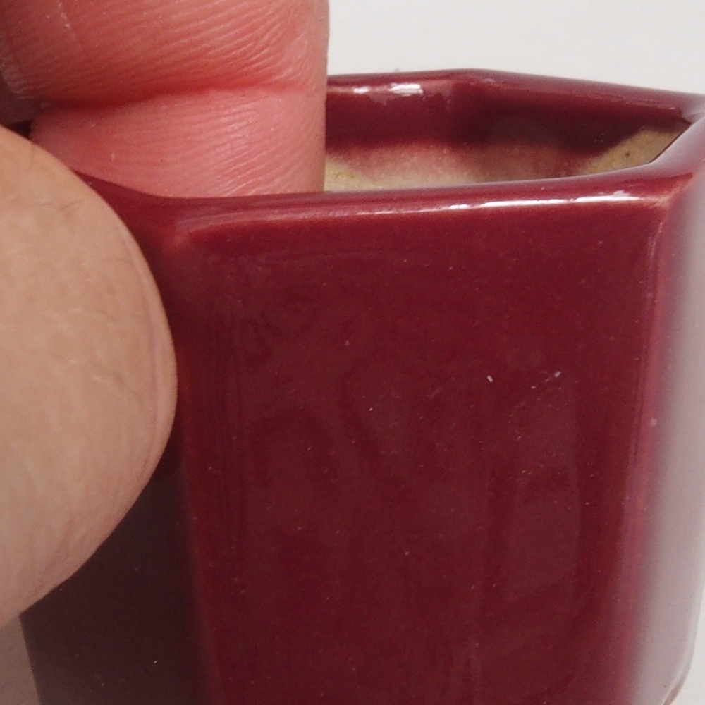 Mini bonsai tál 4 x 4 x 3,5 cm, bordó színű