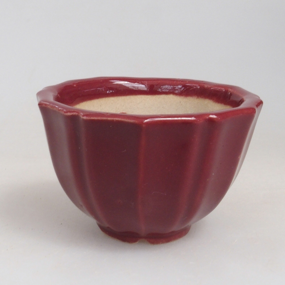 Mini bonsai tál 5 x 5 x 3 cm, bordó színű