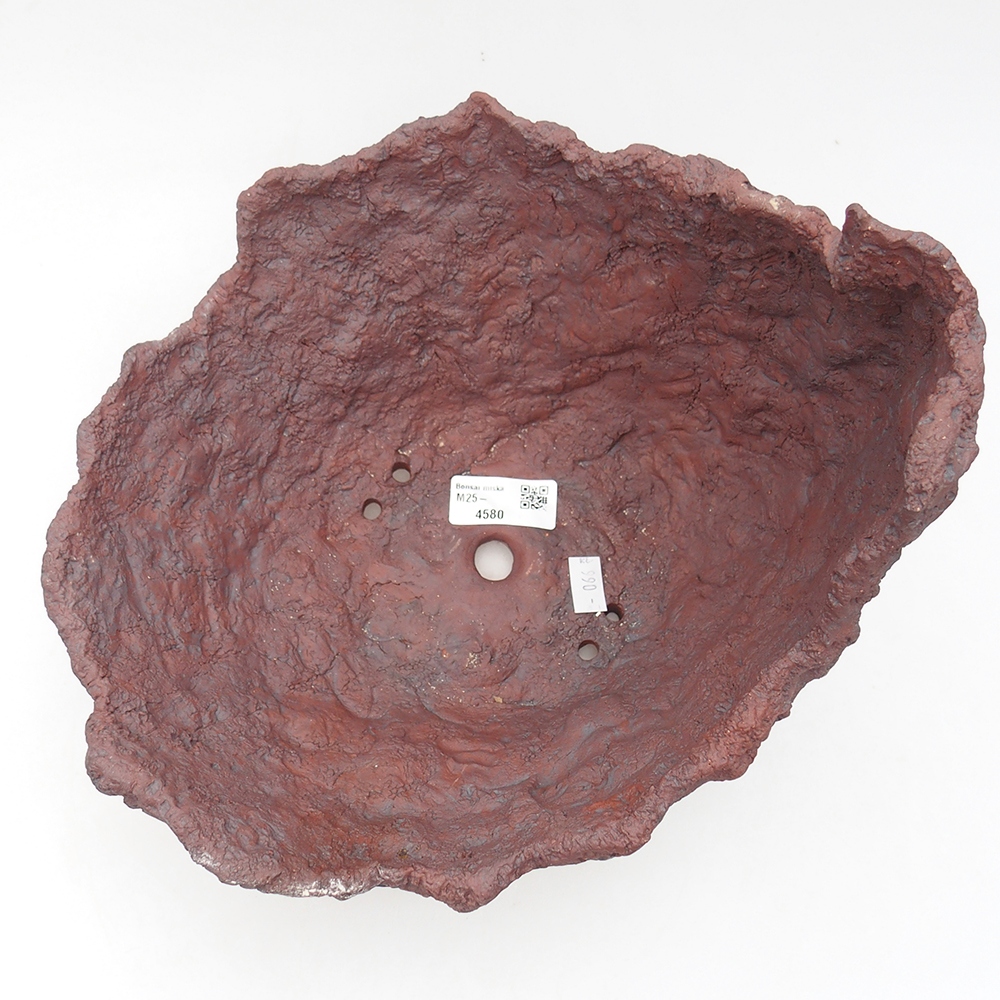 Kerámia kagyló 23 x 25 x 21 cm , barna színű