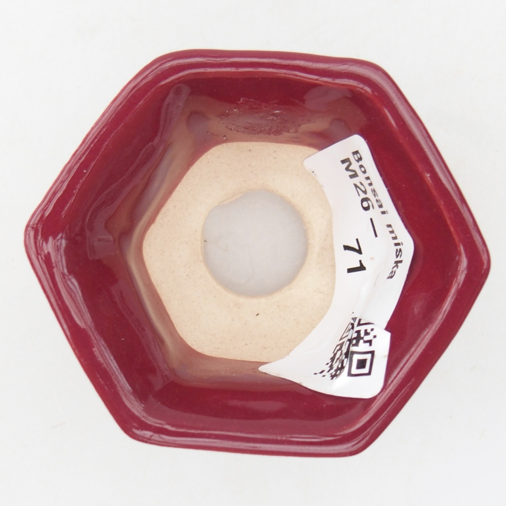 Mini bonsai tál 5,5 x 5 x 3 cm, bordó színben