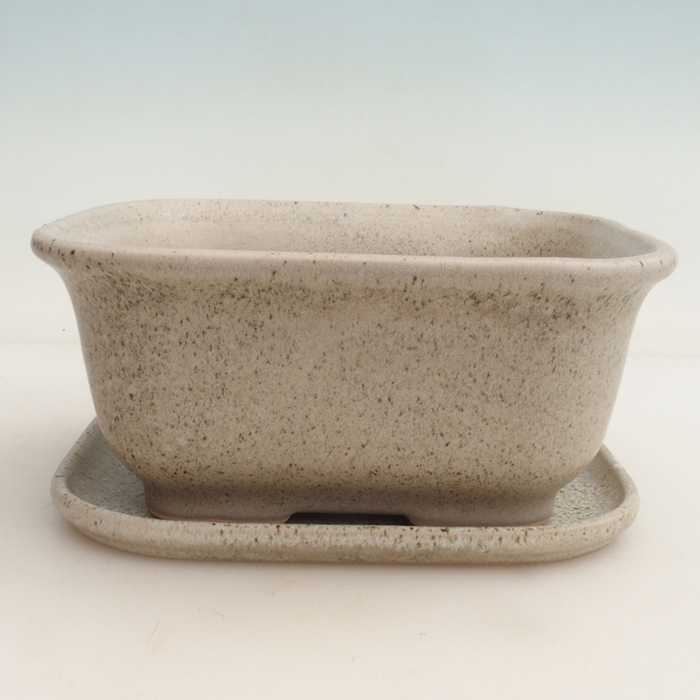 Bonsai tál + csészealj H36 - 17 x 15 x 7,5 cm. - bézs színű
