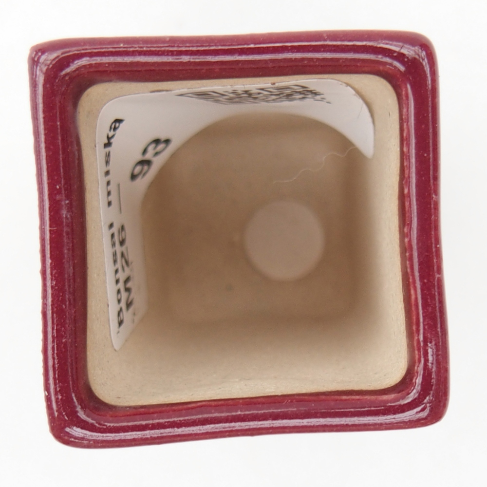 Mini bonsai tál 3 x 3 x 5,5 cm, bordó színű