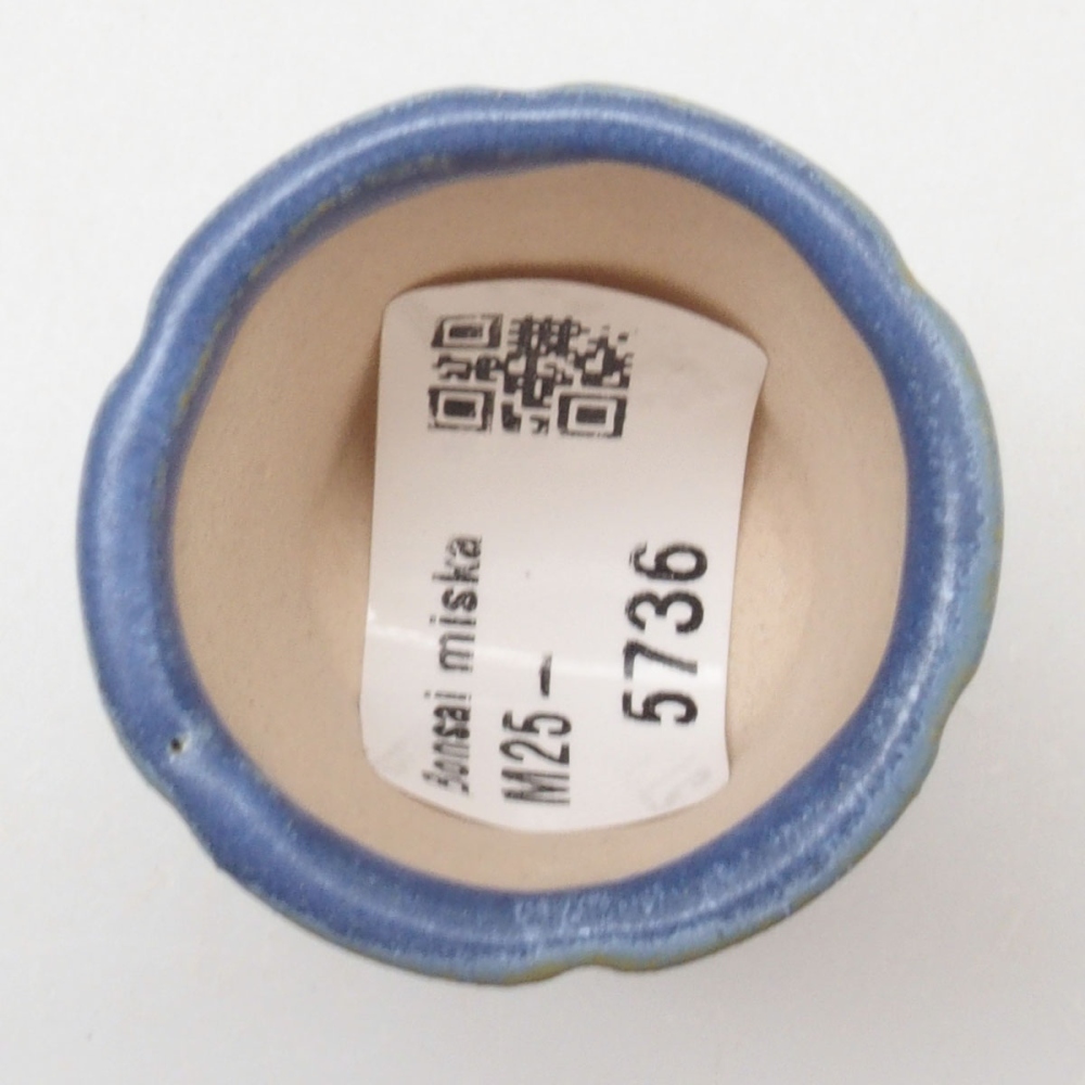 Mini bonsai tál 3,5 x 3,5 x 4 cm, kék színben