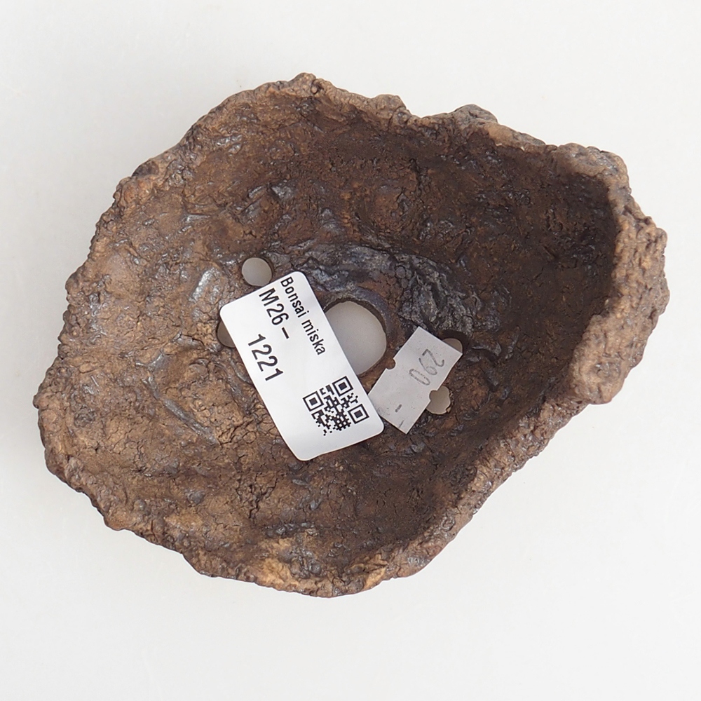 Kerámia kagyló 10 x 8 x 9,5 cm , barna színű