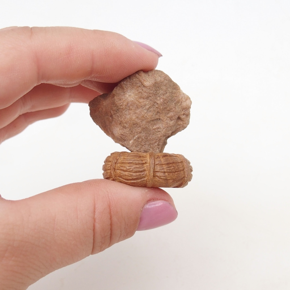 Suiseki - Kő DAI-val (fa alapon)