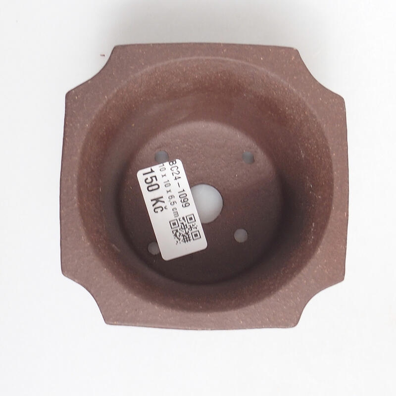 Bonsai tál 10 x 10 x 7 cm, barna