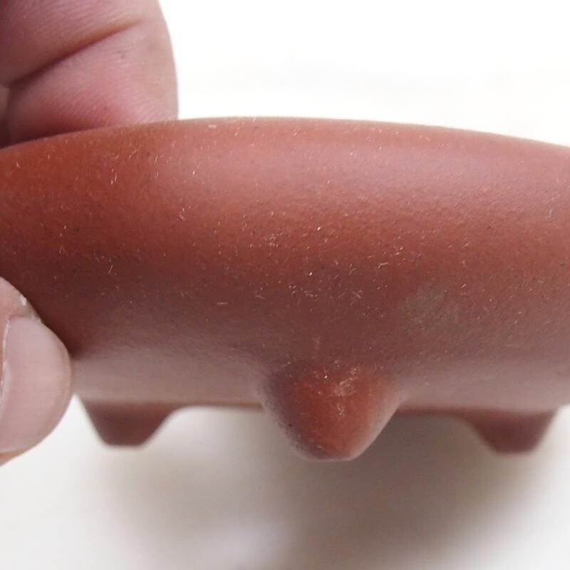 Bonsai tál 11 x 11 x 3,5 cm, téglaszínű, tégla színű