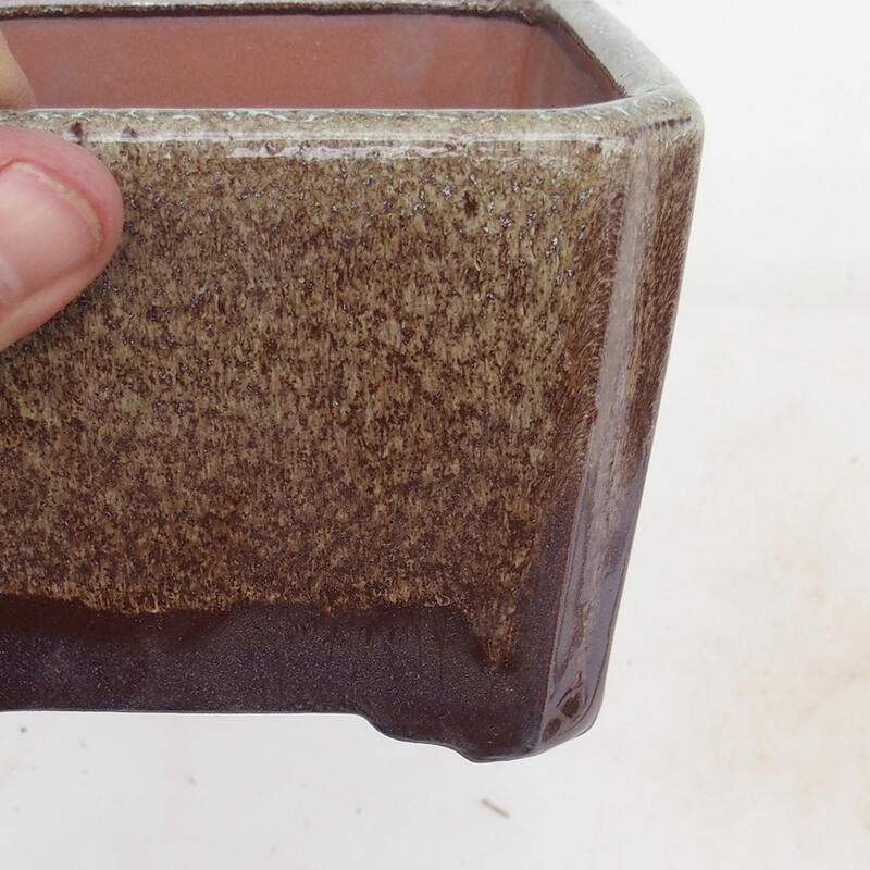 Bonsai tálka 12 x 12 x 8 cm, barna