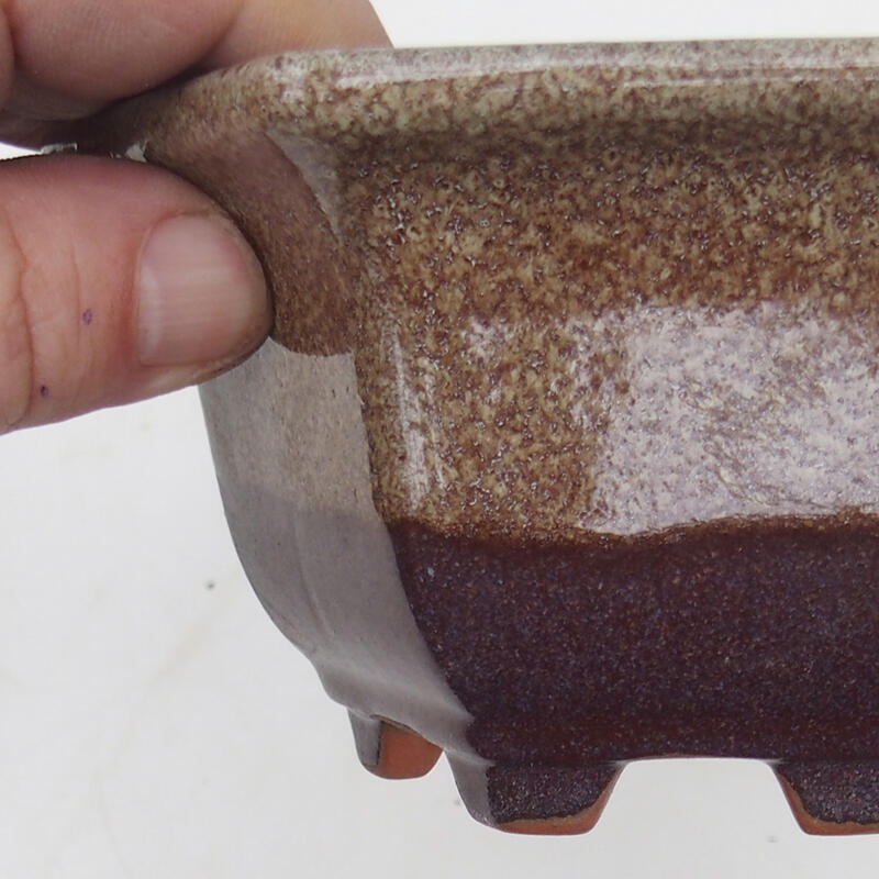 Bonsai tál 13 x 12 x 7 cm, bordó barna színben