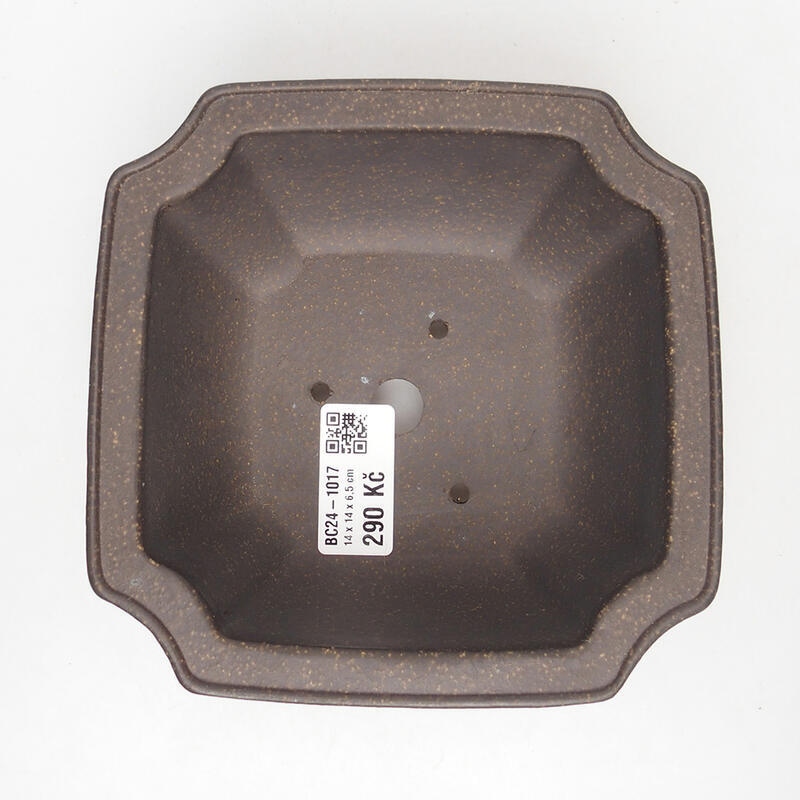 Bonsai tál 14 x 14 x 7 cm, színe barnás okkersárga