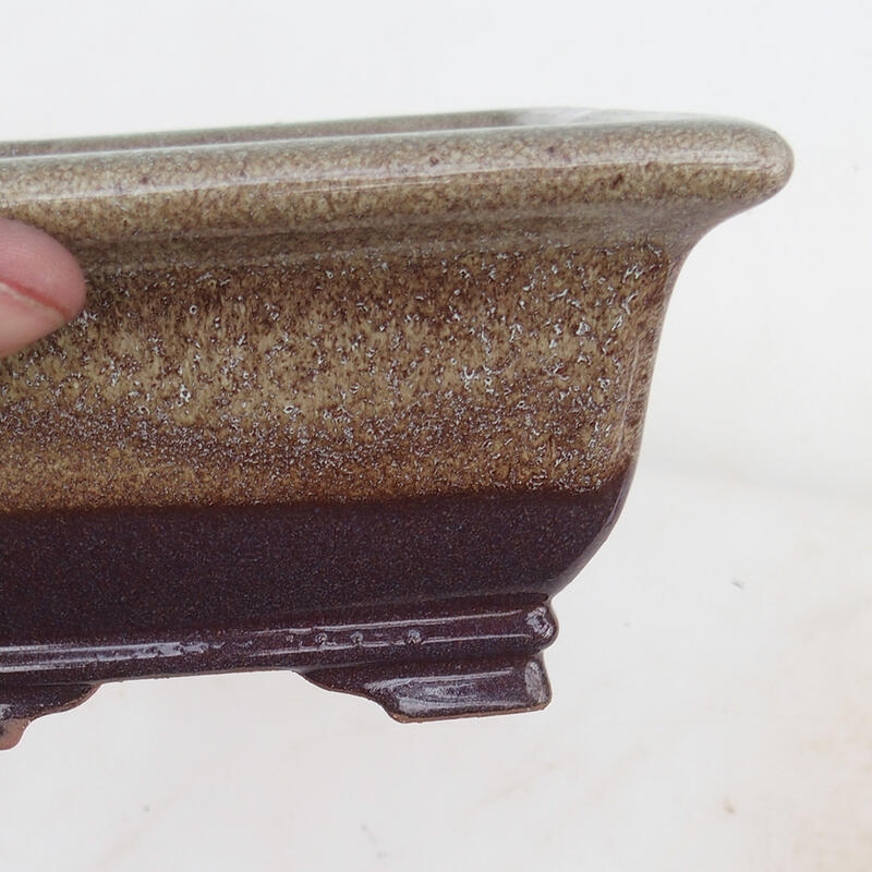 Bonsai tál 15,5 x 15,8 x 8 cm, bordóbarna színben