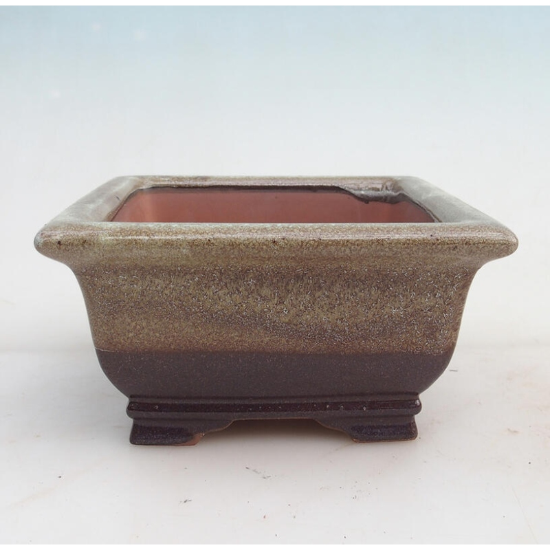 Bonsai tál 15,5 x 15,8 x 8 cm, bordóbarna színben