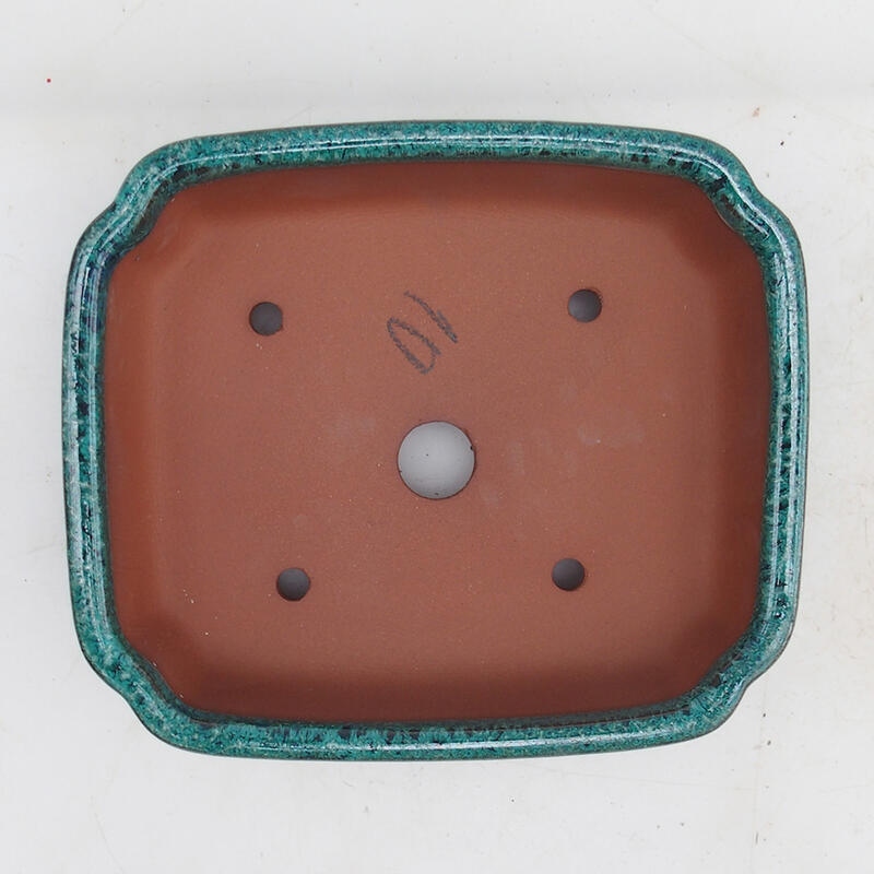 Bonsai tál 15 x 13 x 5 cm, zöld