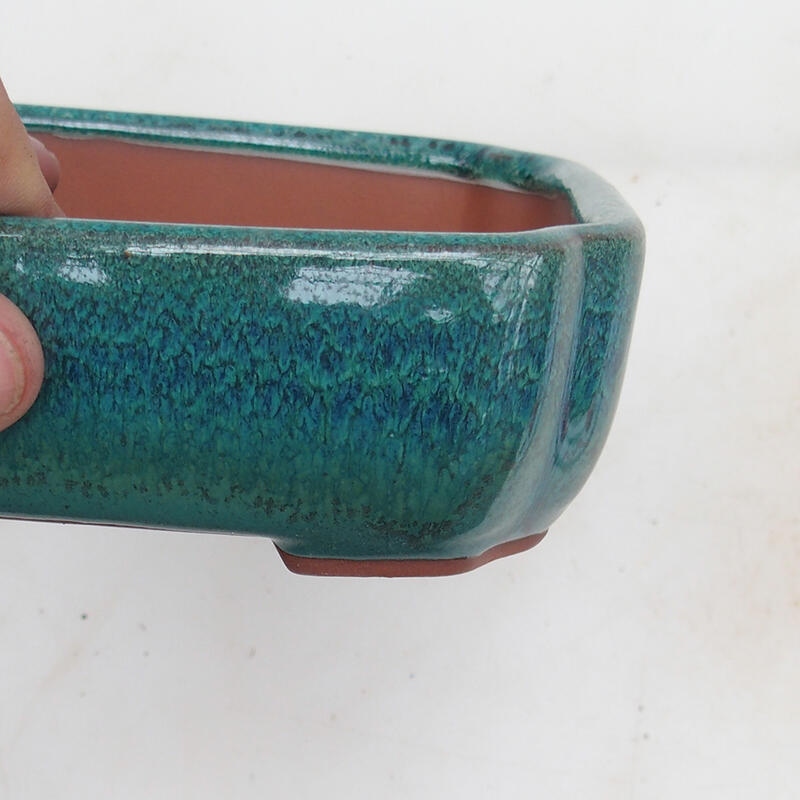 Bonsai tál 15 x 13 x 5 cm, zöld