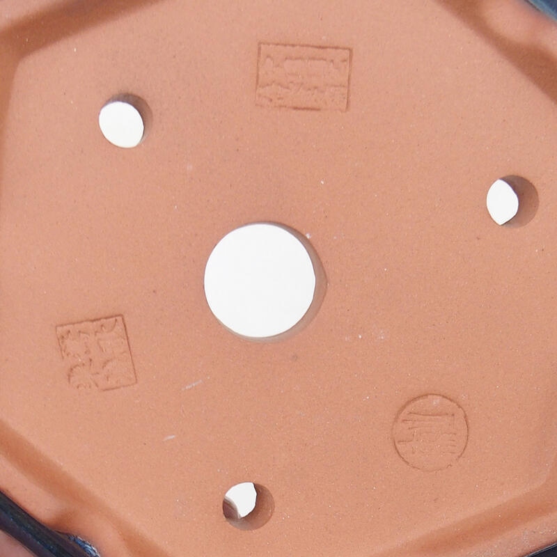 Bonsai tál 16 x 14 x 5 cm, kék színű