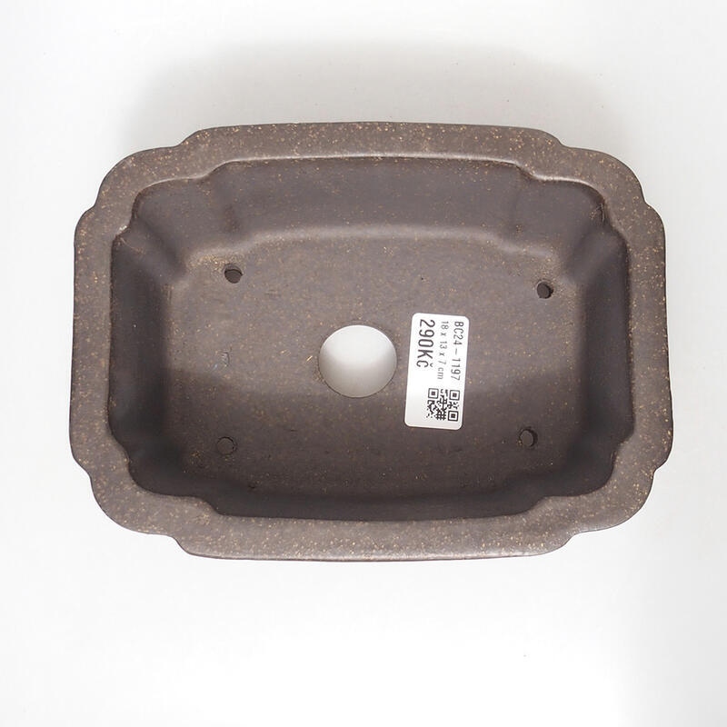 Bonsai tál 18 x 13,5 x 7 cm, színe barnás okkersárga