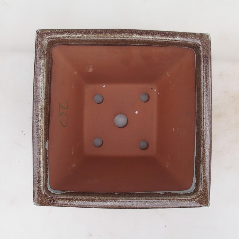 Bonsai tál 20,5 x 20,5 x 15 cm, barna színben