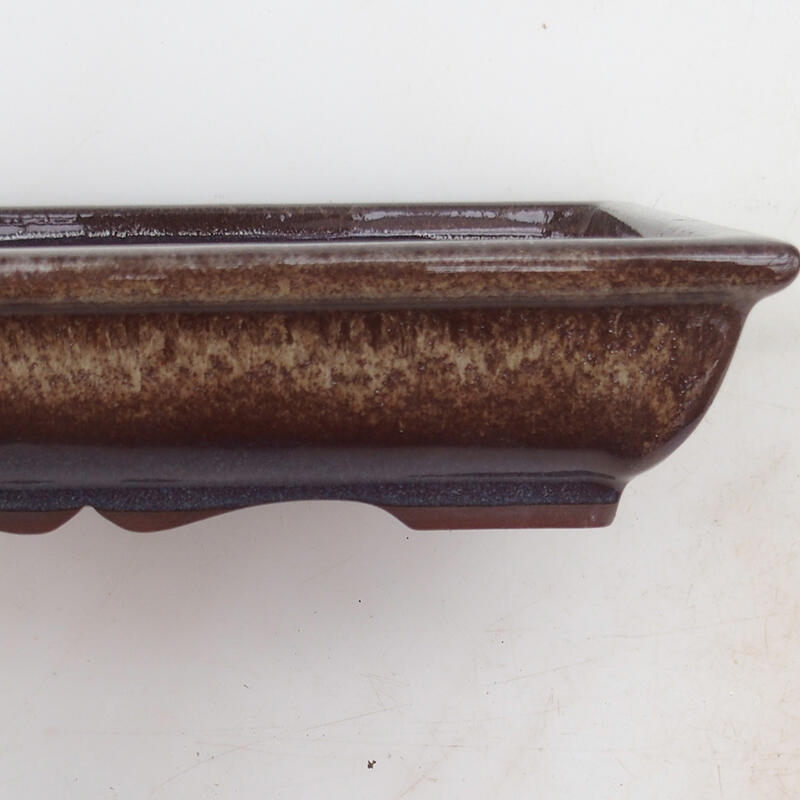 Bonsai tál 21 x 16,5 x 4,5 cm, barna