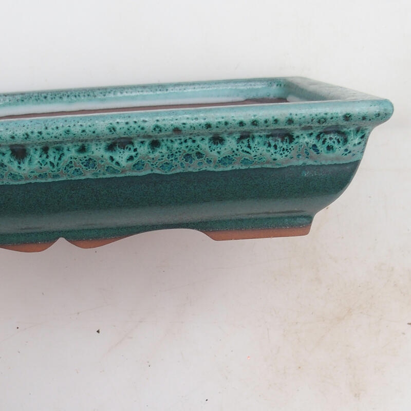 Bonsai tál 21 x 16,5 x 4,5 cm, zöld
