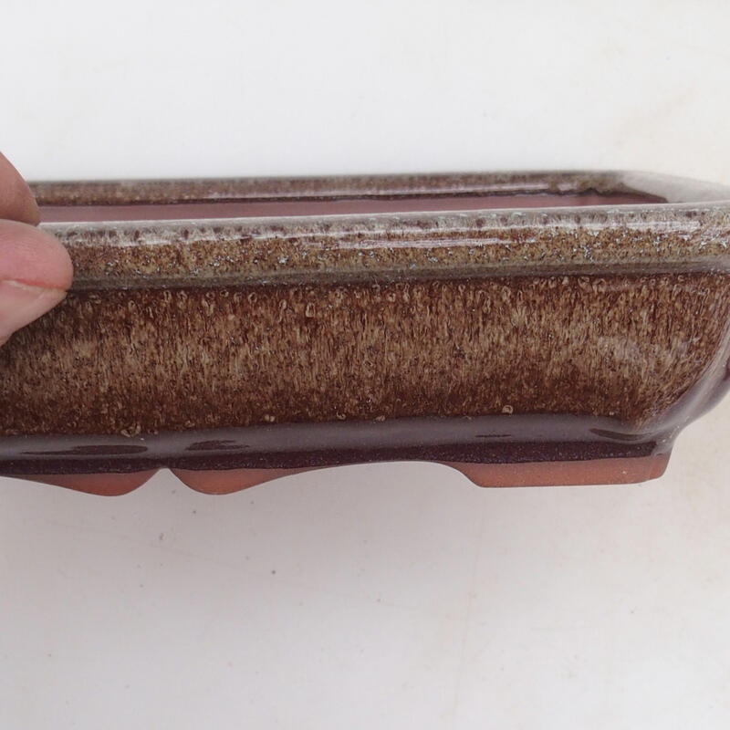 Bonsai tál 21 x 16 x 4,5 cm, barna