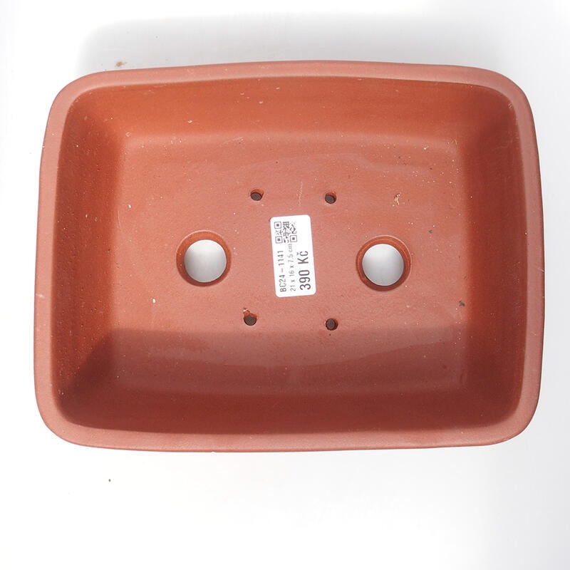 Bonsai tál 21 x 16 x 7,5 cm, téglaszínű, tégla színű