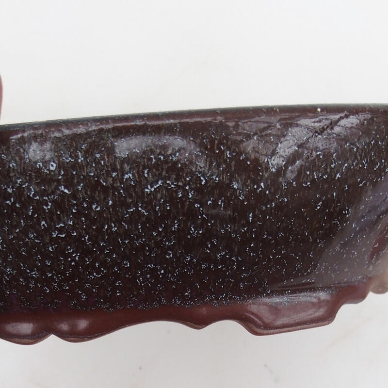 Bonsai tál 21 x 17 x 5 cm, szürke