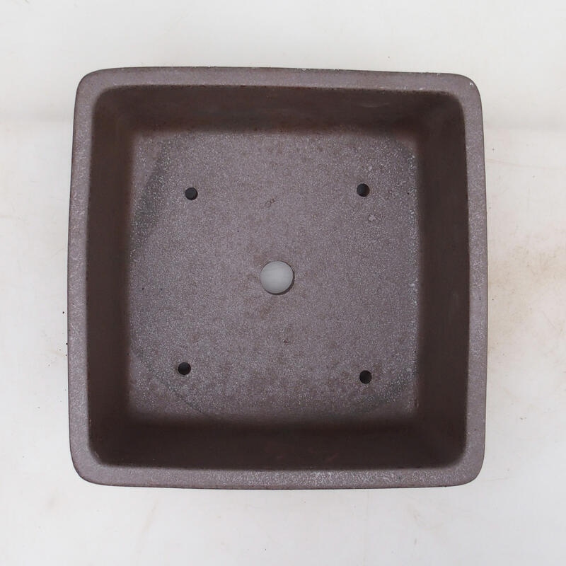 Bonsai tál 21 x 21 x 9 cm, natúr színben