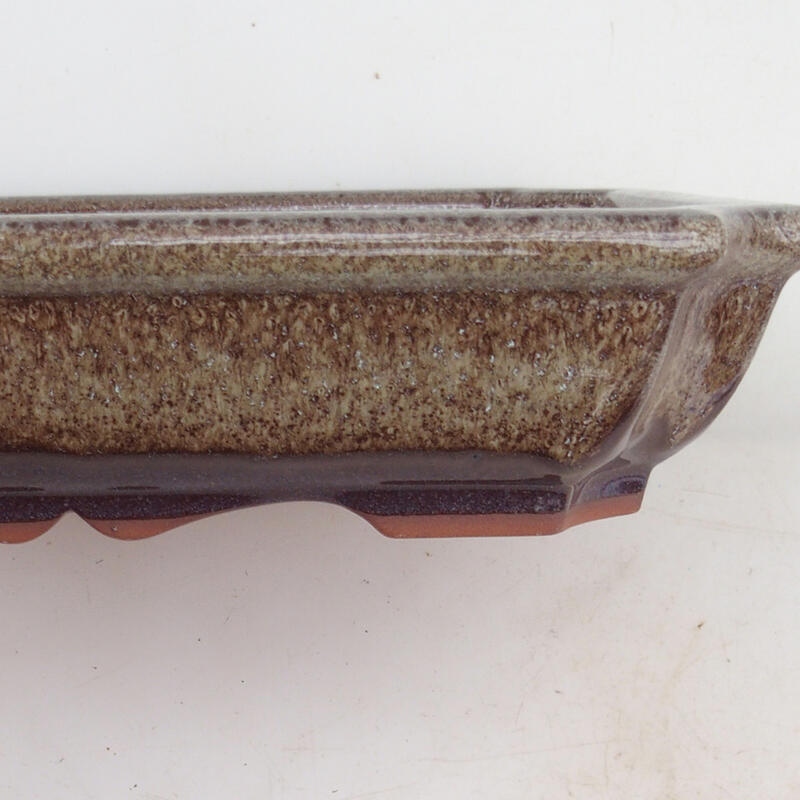 Bonsai tál 22 x 16,5 x 4 cm, barna