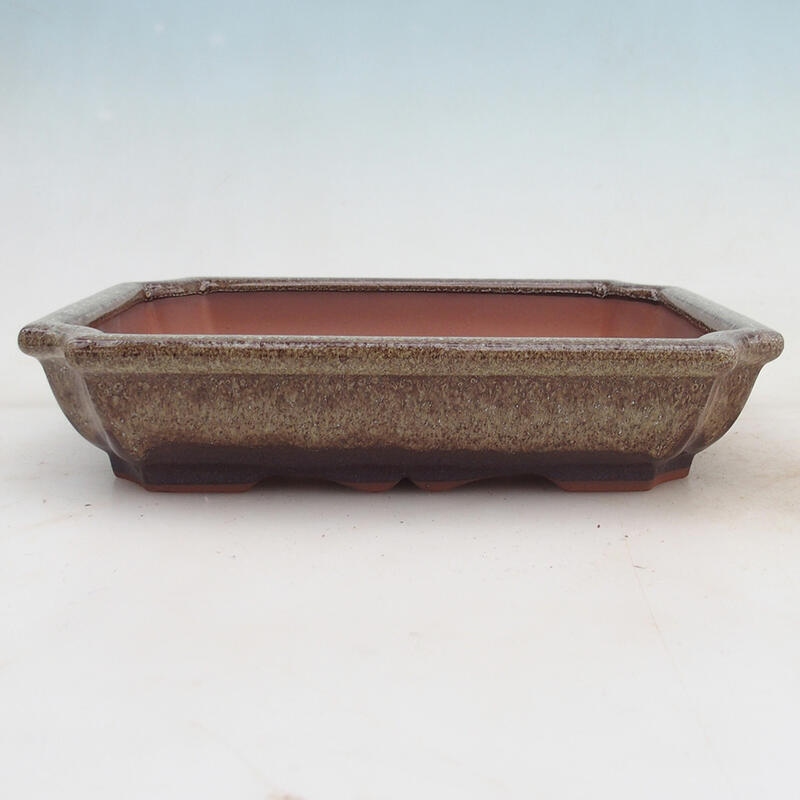 Bonsai tál 22 x 16,5 x 4 cm, barna