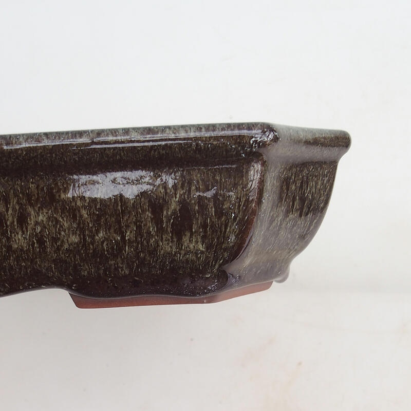 Bonsai tál 23 x 17,5 x 4,5 cm, barna