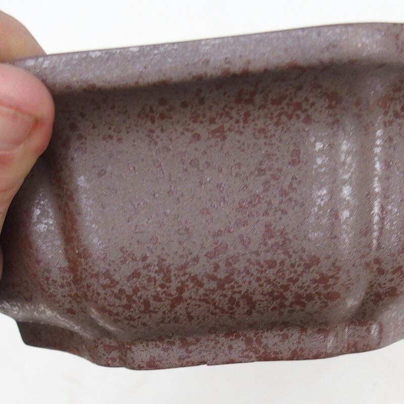 Bonsai tál 23 x 23 x 7,5 cm, natúr színben