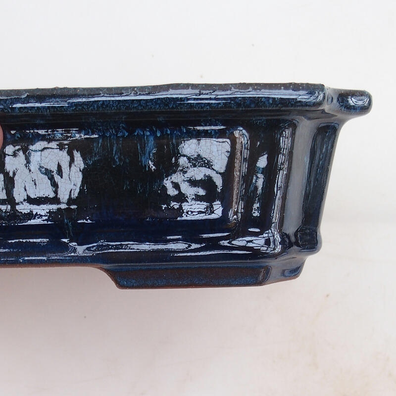 Bonsai tál 25 x 20 x 6 cm, kék színű