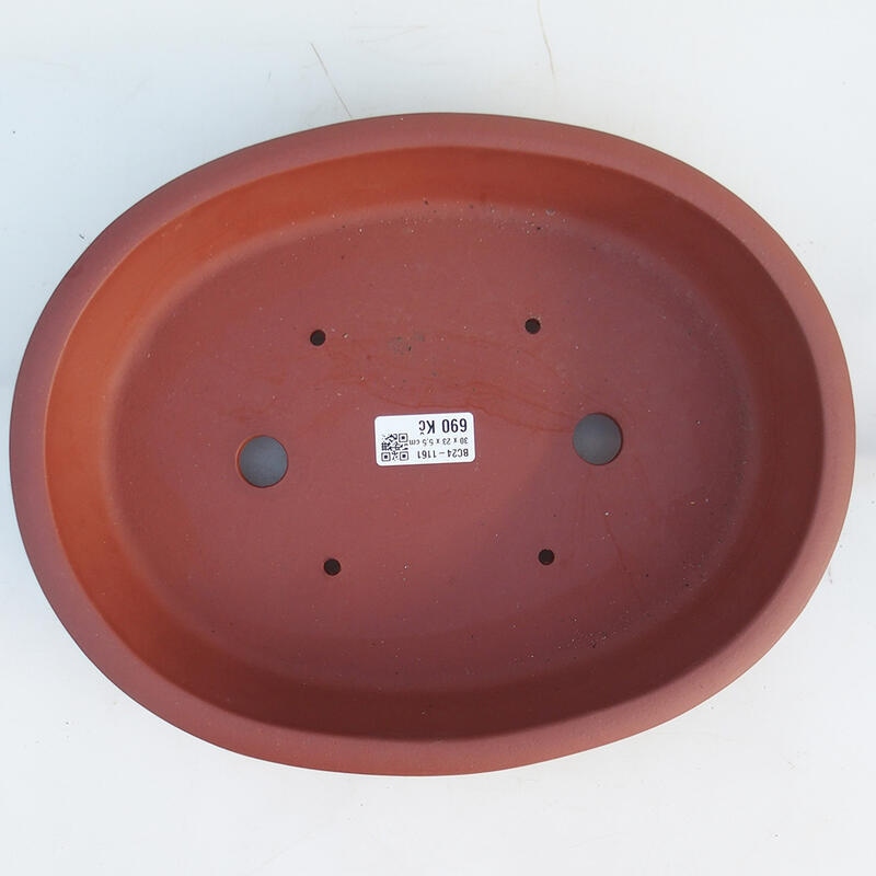 Bonsai tál 30,5 x 24 x 6 cm, téglaszínű, tégla színű