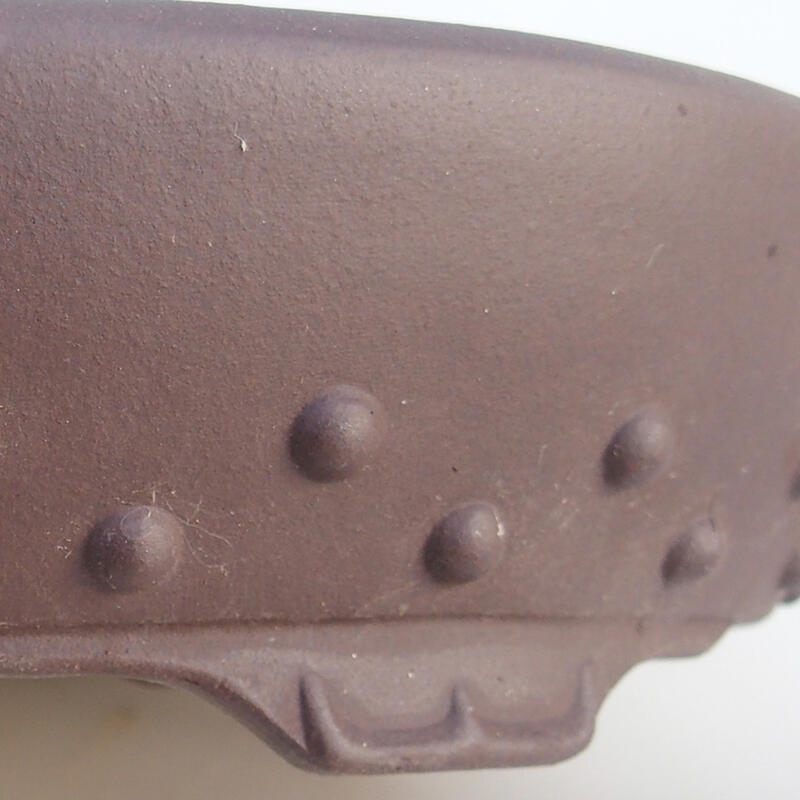 Bonsai tál 30,5 x 24 x 6 cm, barna