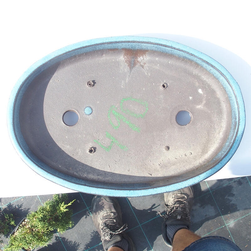 Bonsai tál 30 x 20 x 5 cm kék