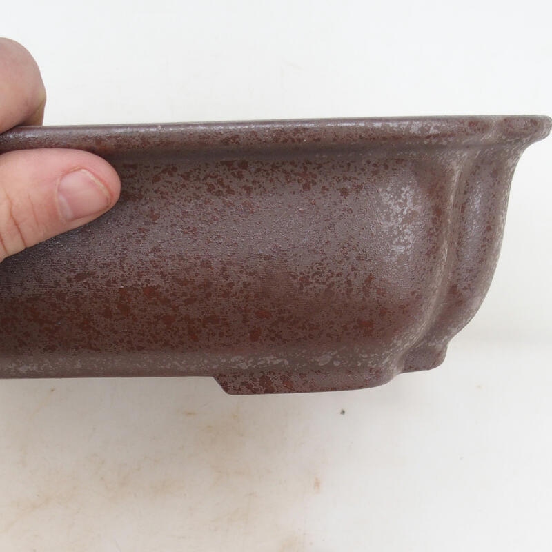 Bonsai tál 30 x 24,5 x 8 cm, natúr színben