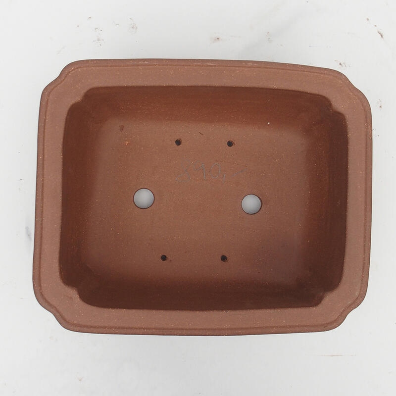 Bonsai tál 30 x 24 x 12 cm - japán minőségben