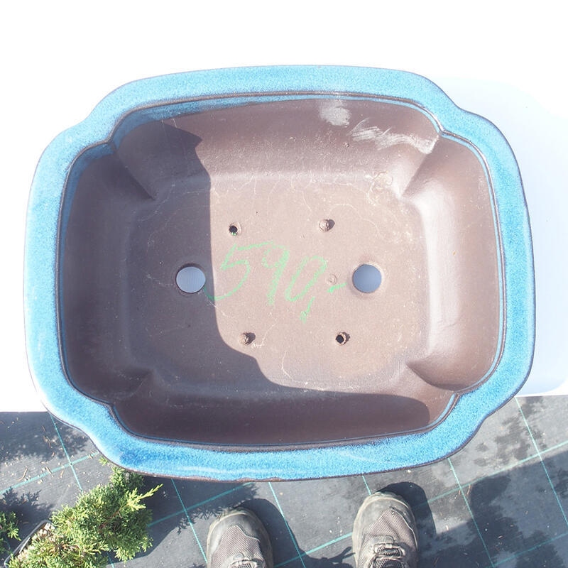 Bonsai tál 30 x 25 x 10 cm kék