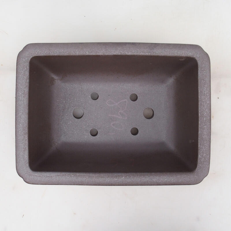 Bonsai tál 31 x 23 x 12 cm, natúr színben