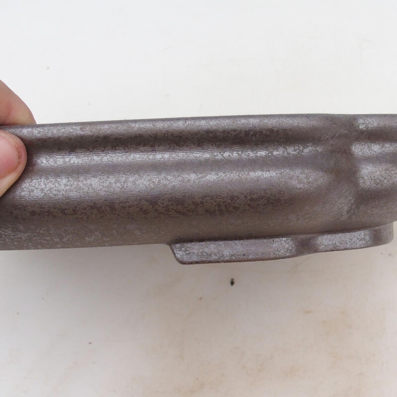 Bonsai tál 31 x 23 x 5,5 cm, natúr színben