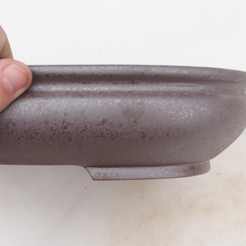 Bonsai tál 31 x 23 x 6,5 cm, natúr színben