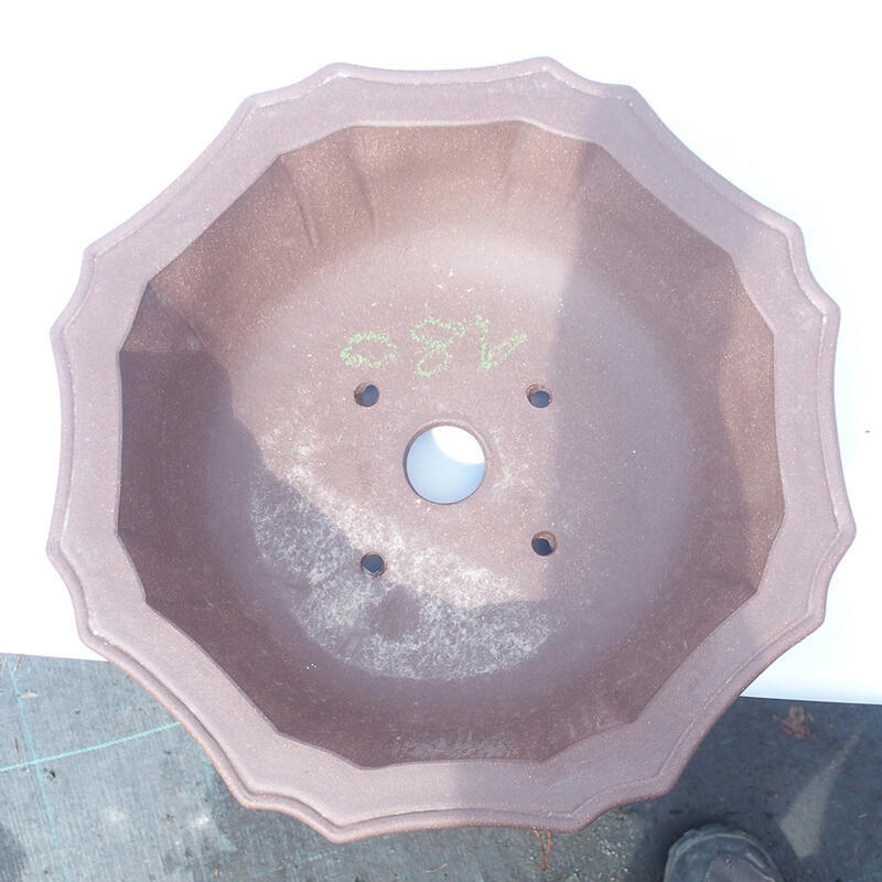 Bonsai tál 31 x 31 x 9 cm