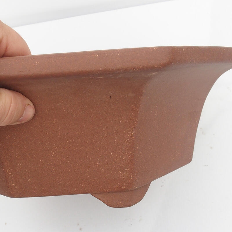 Bonsai tál 36 x 34 x 12 cm - japán minőségben