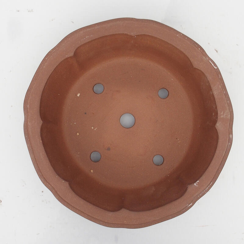 Bonsai tál 36 x 36 x 10 cm - japán minőségben