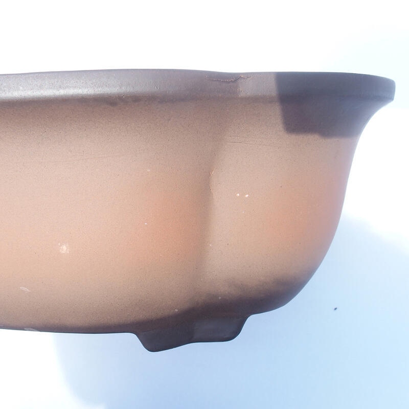 Bonsai tál 37 x 29 x 13 cm