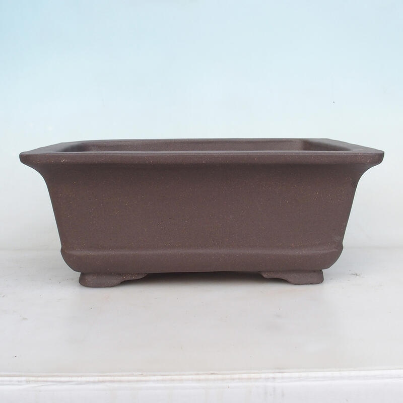 Bonsai tál 38 x 30 x 19 cm, natúr színben