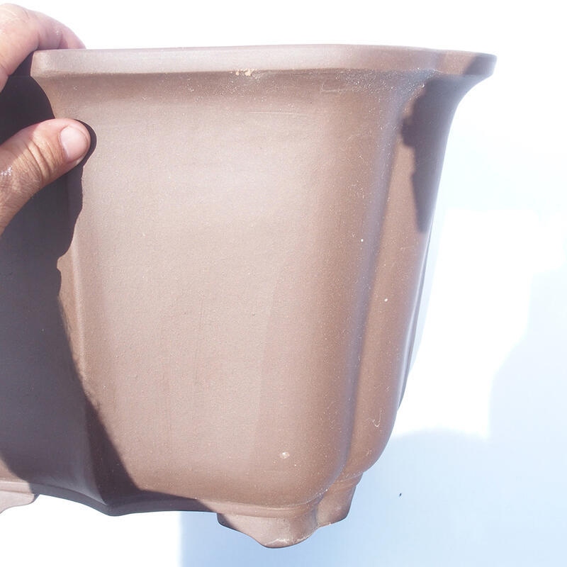 Bonsai tál 38 x 31 x 27 cm