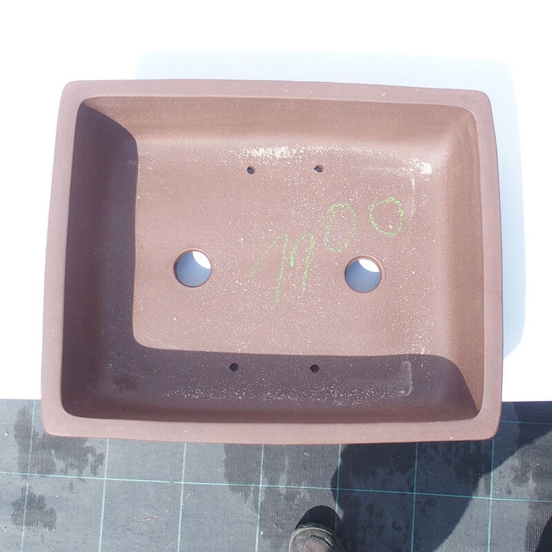 Bonsai tál 39 x 31 x 11 cm