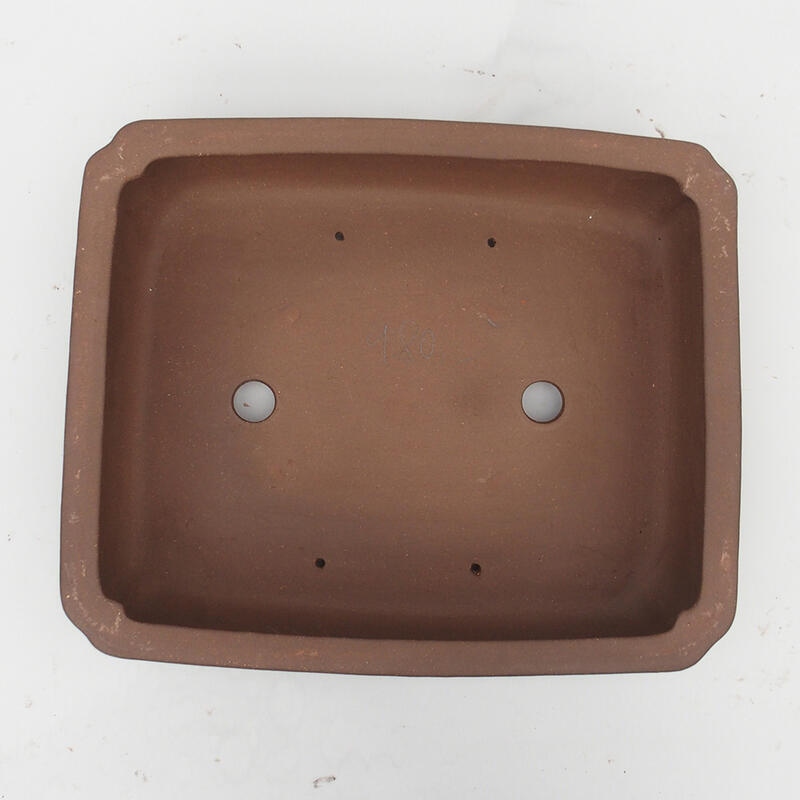 Bonsai tál 39 x 33 x 11 cm - japán minőségben